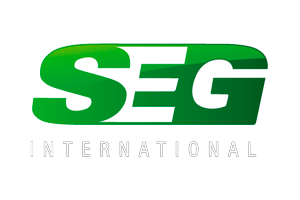 seg_300x200